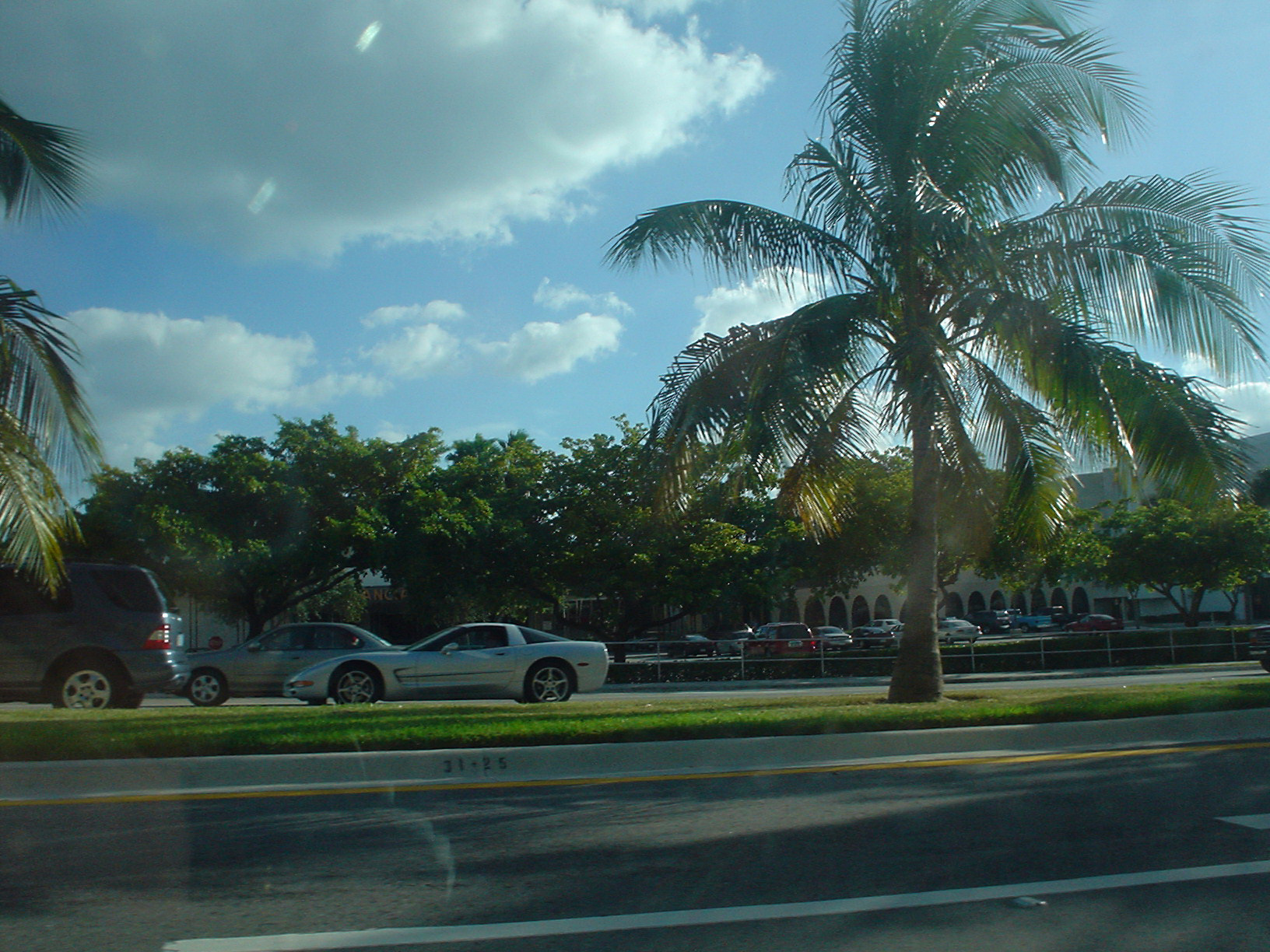 Palm Trees and Corvettes