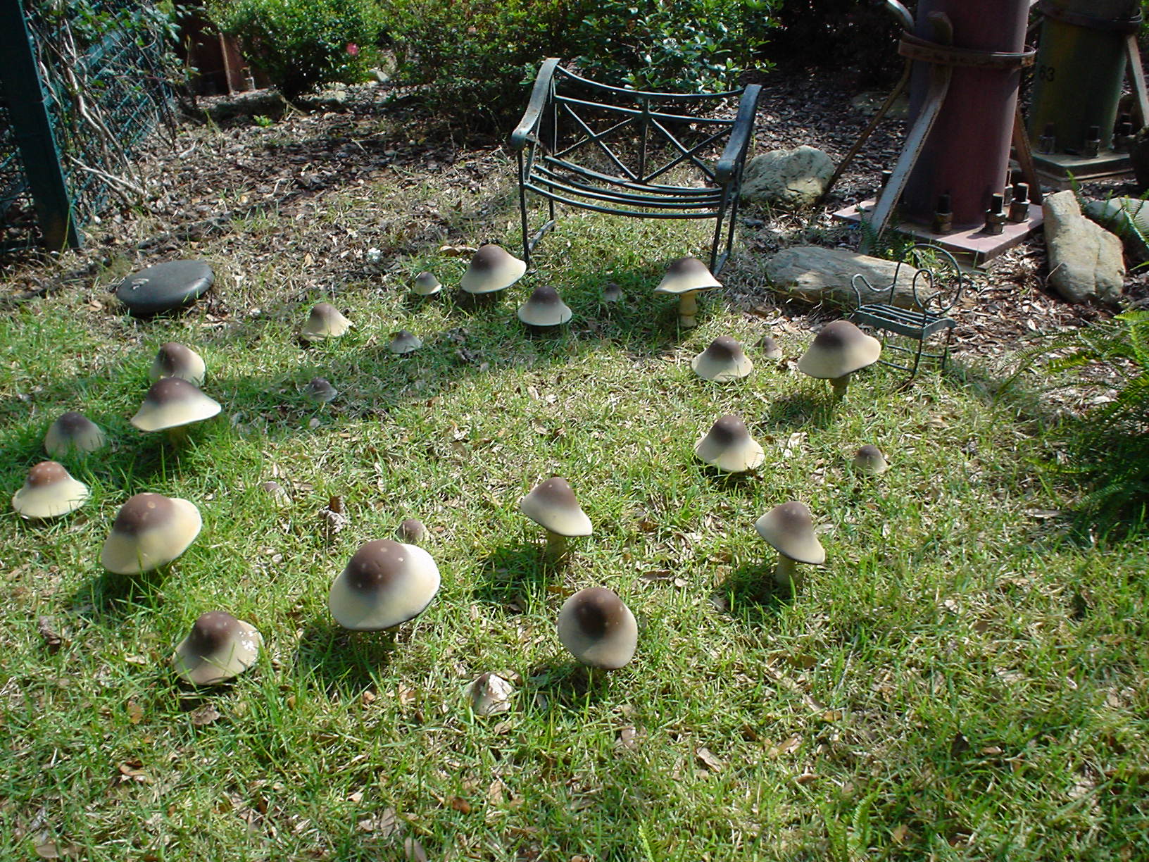 Mushroom Village Ricky Hanson